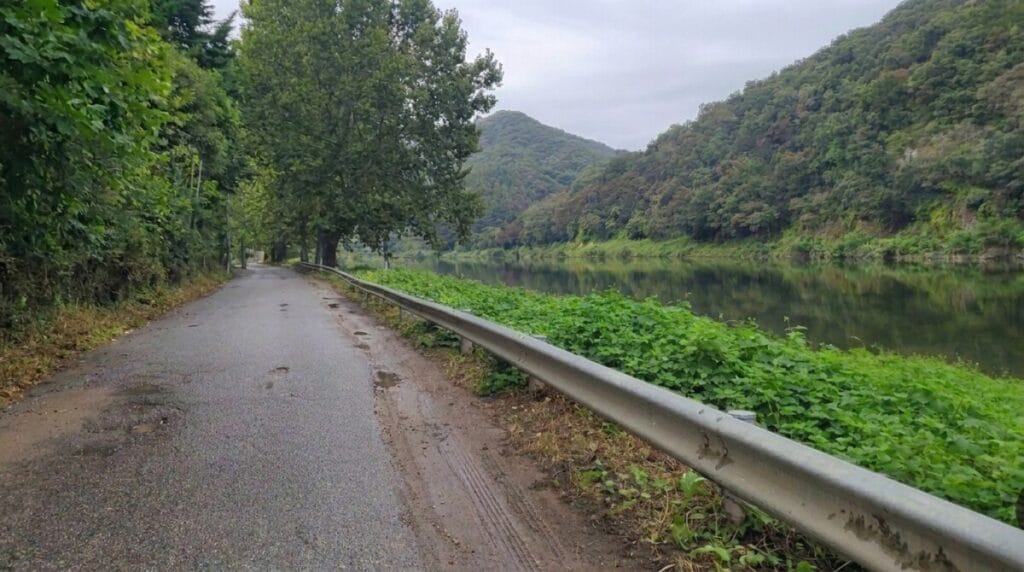 Quiet riverside stretch of the Saejae Bicycle Path with still water reflecting the hills