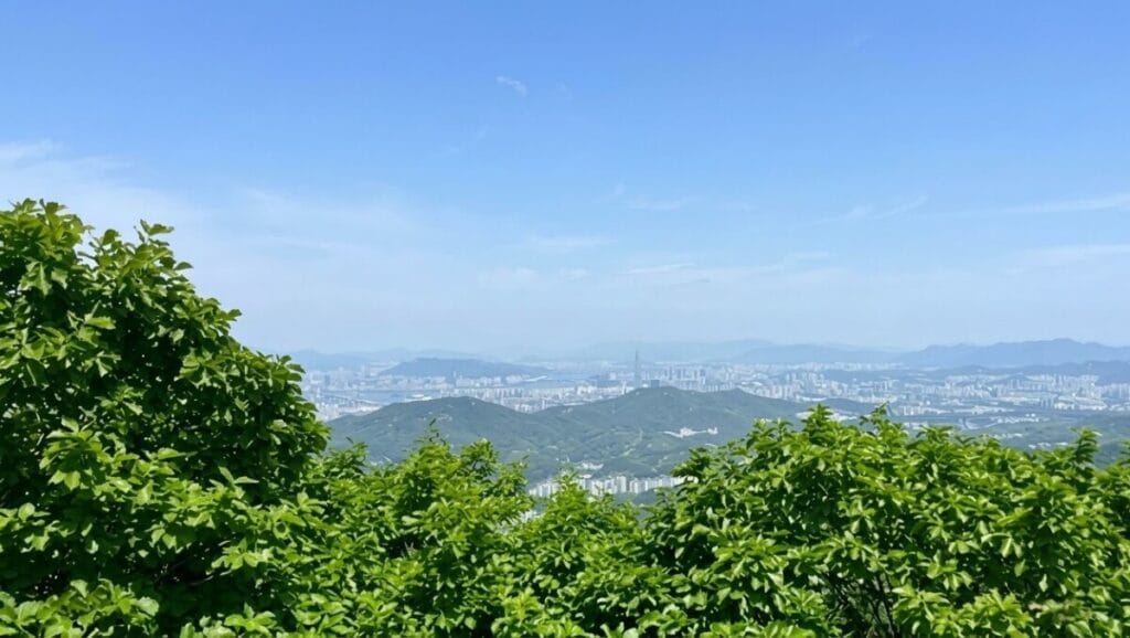 Lush greenery framing a hazy Seoul skyline from Cheonggyesan