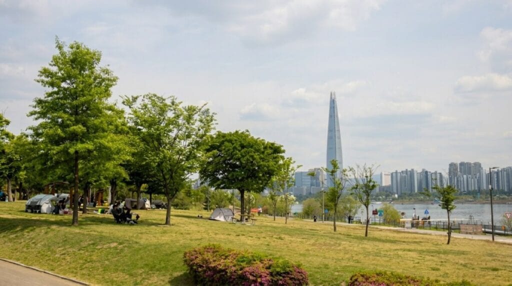 Picnickers relaxing on the lawn at Ttukseom Hangang Park with the Seoul skyline